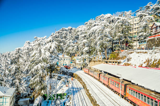 Best Travel Agency in Shimla