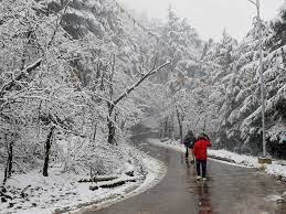 Best Travel Agency in Shimla