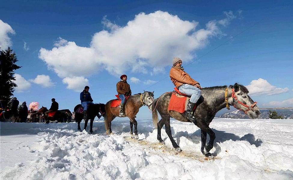 Best Travel Agency in Shimla